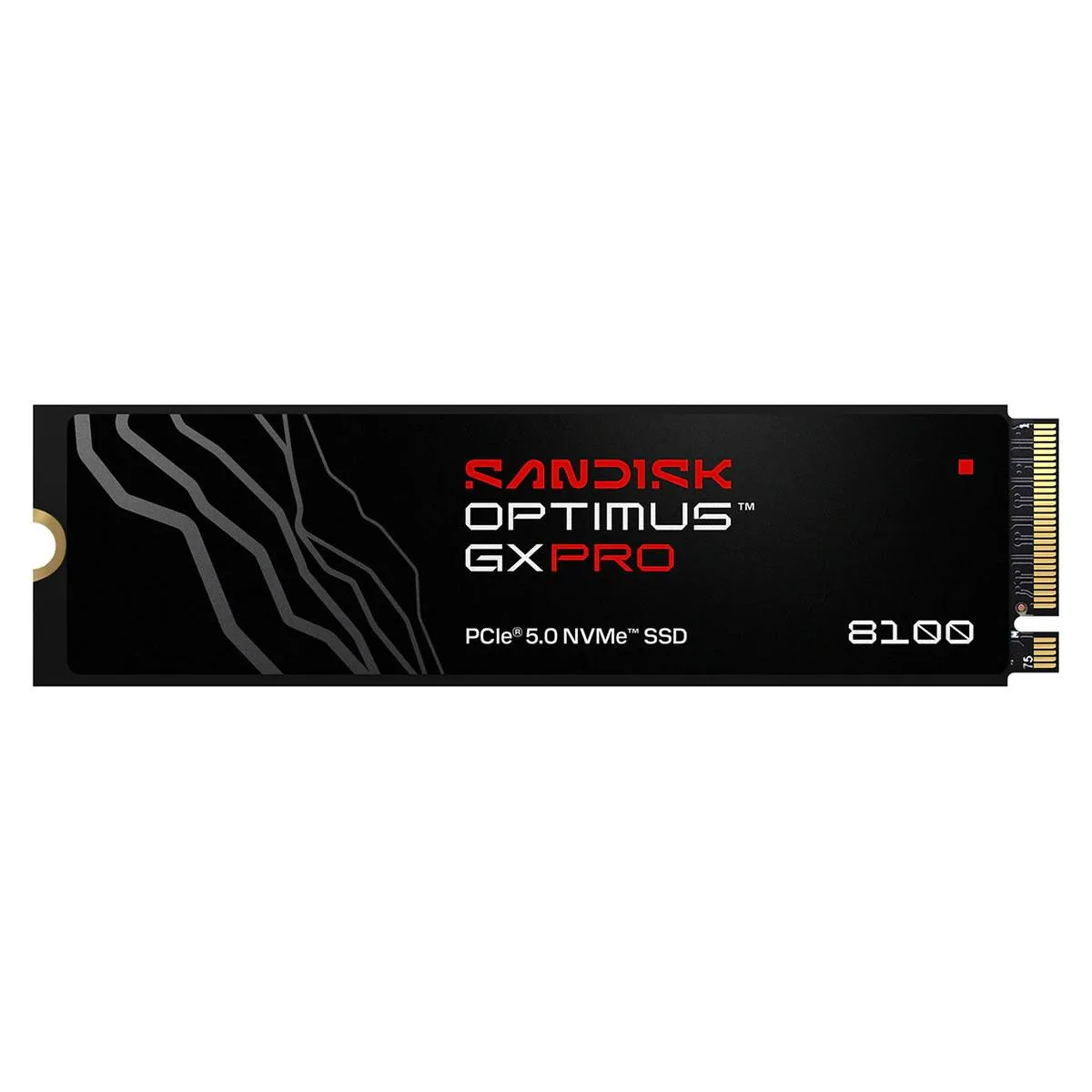 SanDisk SanDisk Optimus GX PRO 8100 2TB M.2 2280 PCIe 5.0 x4 NVMe 2.0 internal SSD SDSP82200TAN-000E0 — product photo