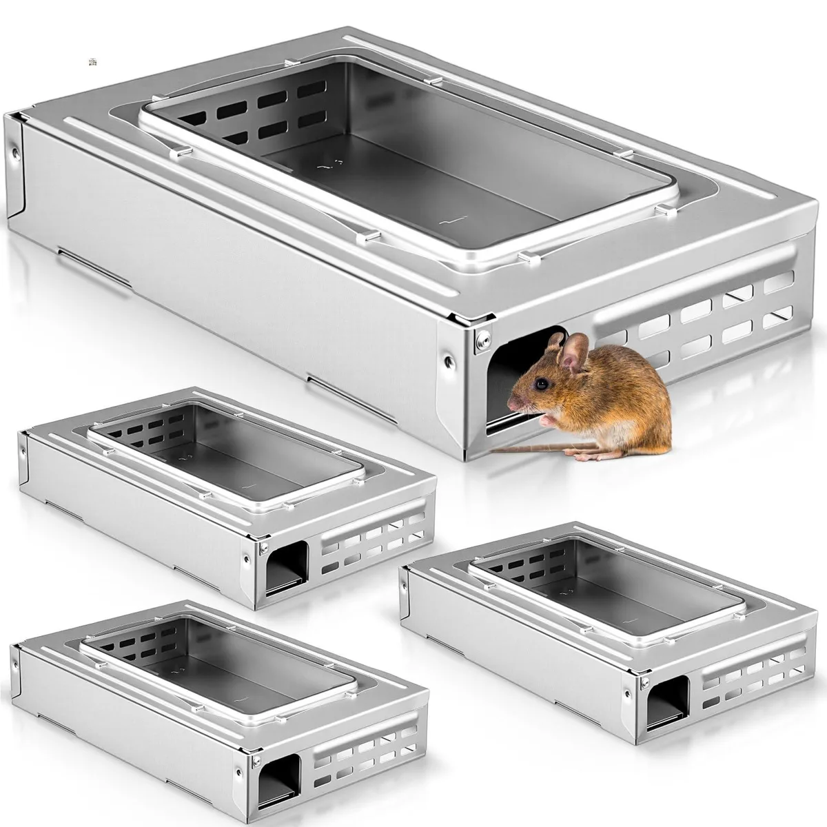 Four silver rectangular traps with clear tops, 10.2 x 6.3 x 2 inches