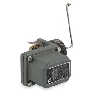 Stainless steel liquid level switch with side-mounted float and threaded tank connection