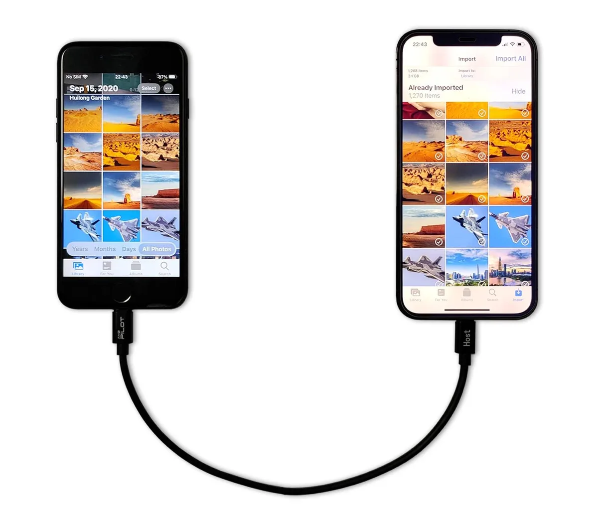 Short black Lightning-to-Lightning cable with male connectors on both ends