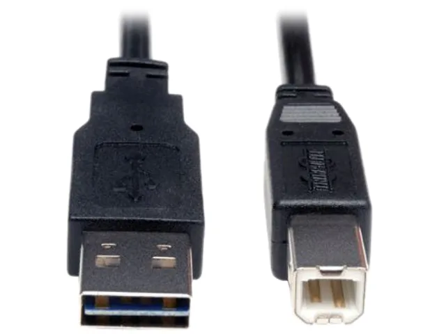 Tripp Lite Tripp Lite UR022-006 USB cable 6 ft Type A to Type B — product photo