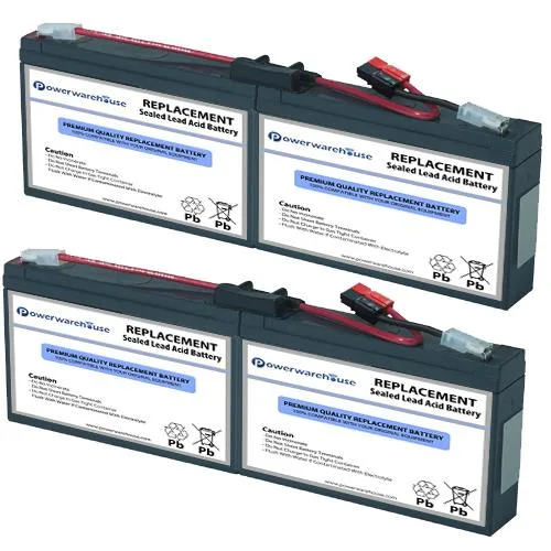 Two sealed lead-acid batteries in plastic cartridge housing