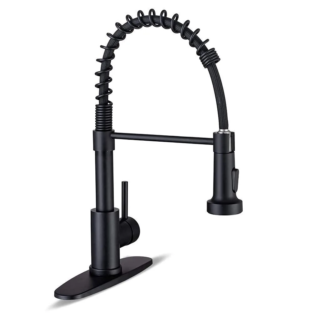 Matte black kitchen faucet with high arc spout and pull down sprayer