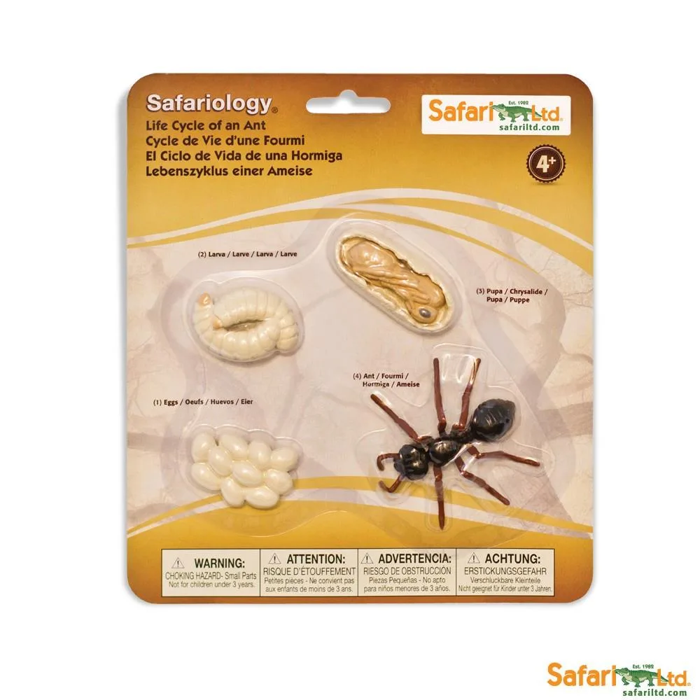 Safari Ltd. Safari Ltd. Life Cycle of an Ant Collectible Figures — product photo
