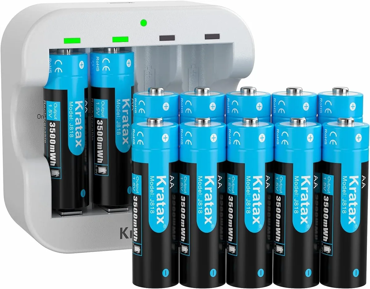 Twelve black AA lithium batteries in a row