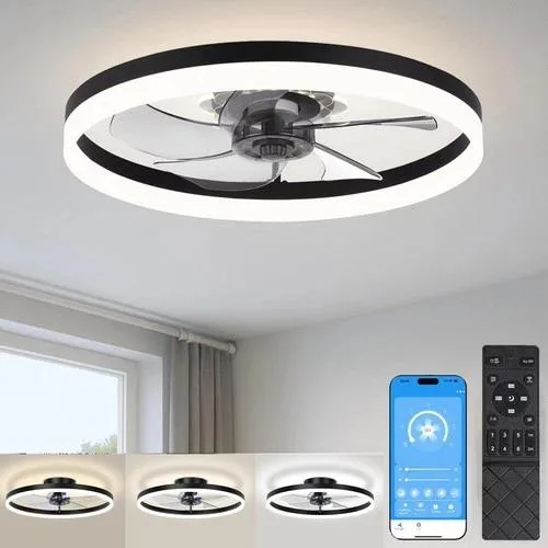 NShi NShi 20'' Black Low Profile Ceiling Fan Light with Remote Control — product photo