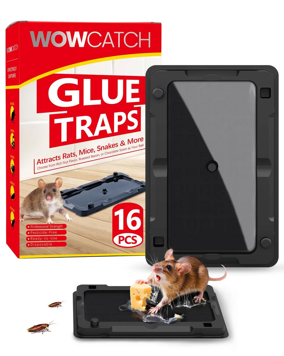 Flat black polypropylene glue boards 5.1 by 3.3 inches 16 pack