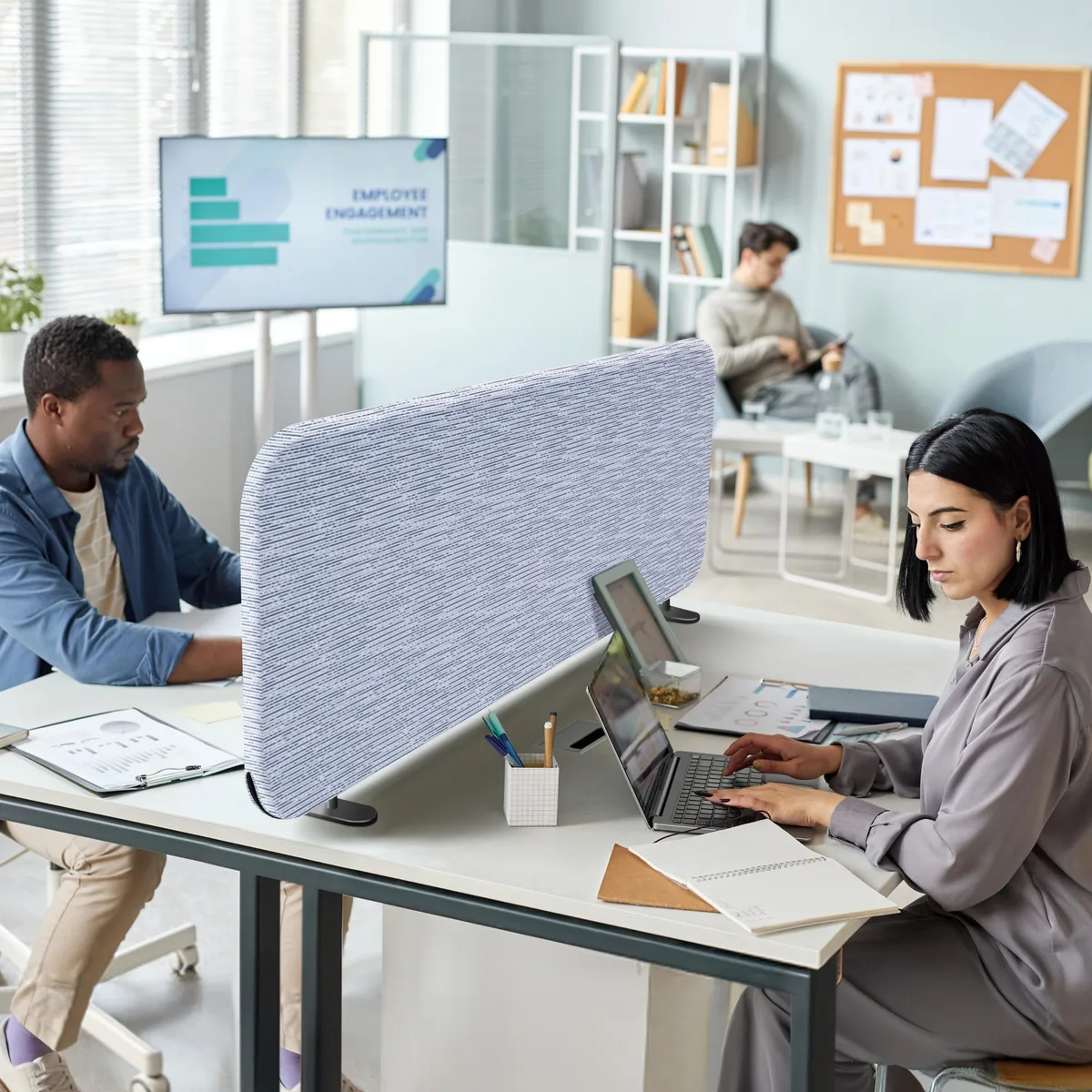 DECOLAB DECOLAB Freestanding Desk Divider 48 x 18 Inch Birch office furniture — product photo