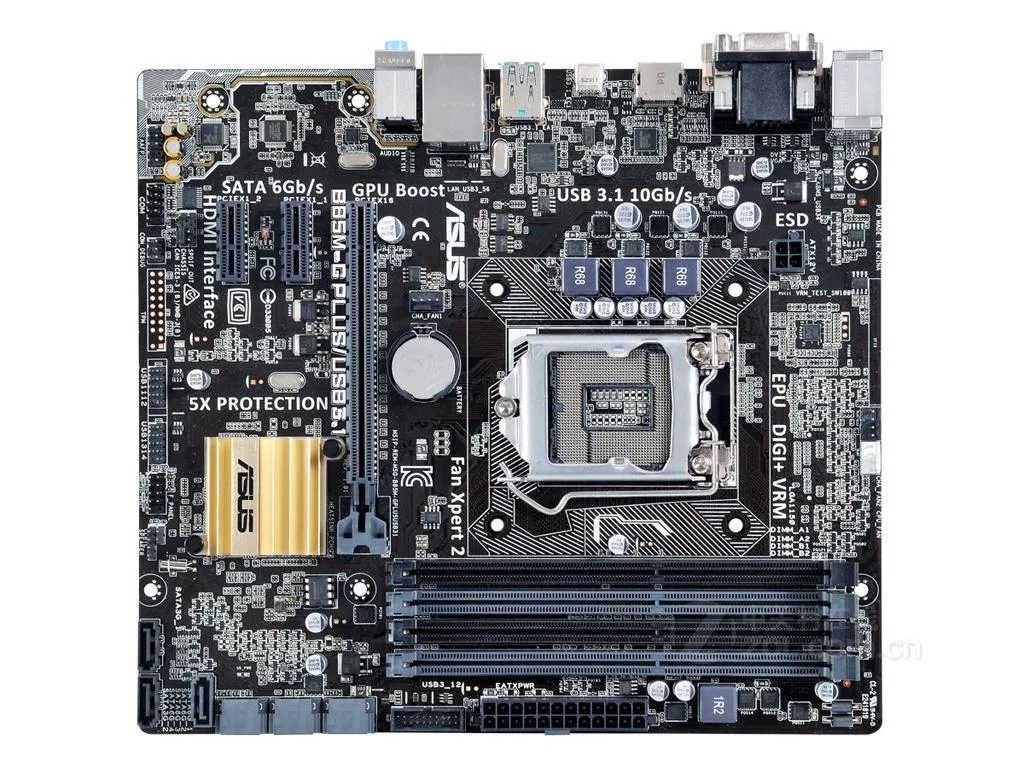 ASUS ASUS B85M-G PLUS/USB3.1 Intel motherboard — product photo