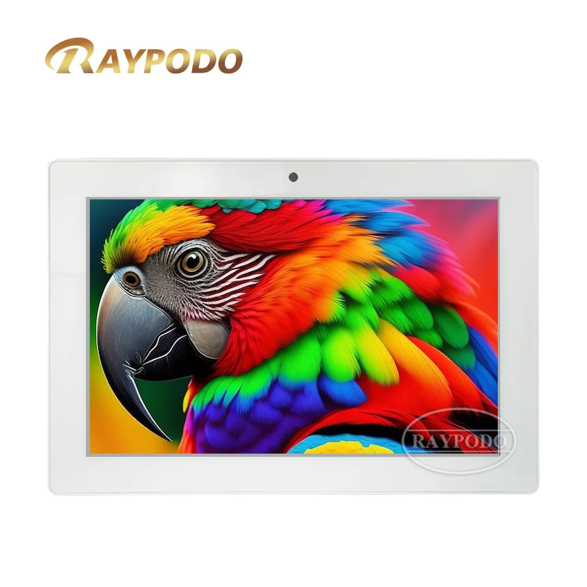 RAYPODO RAYPODO 10.1" RK3566 White 2GB+16GB all-in-one PC — product photo