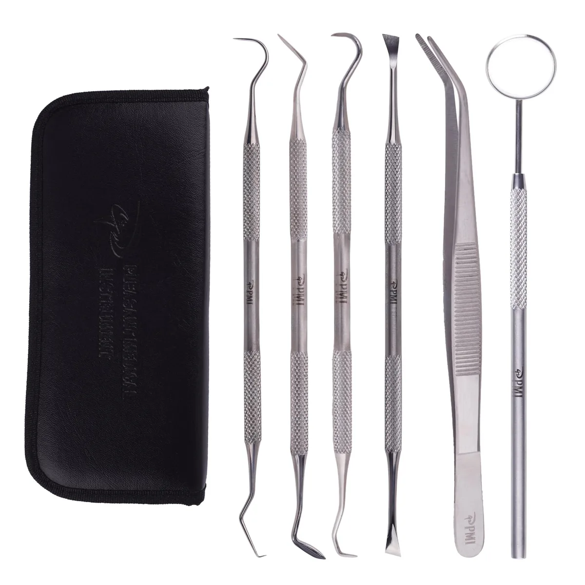 Six stainless steel dental tools in a compact case