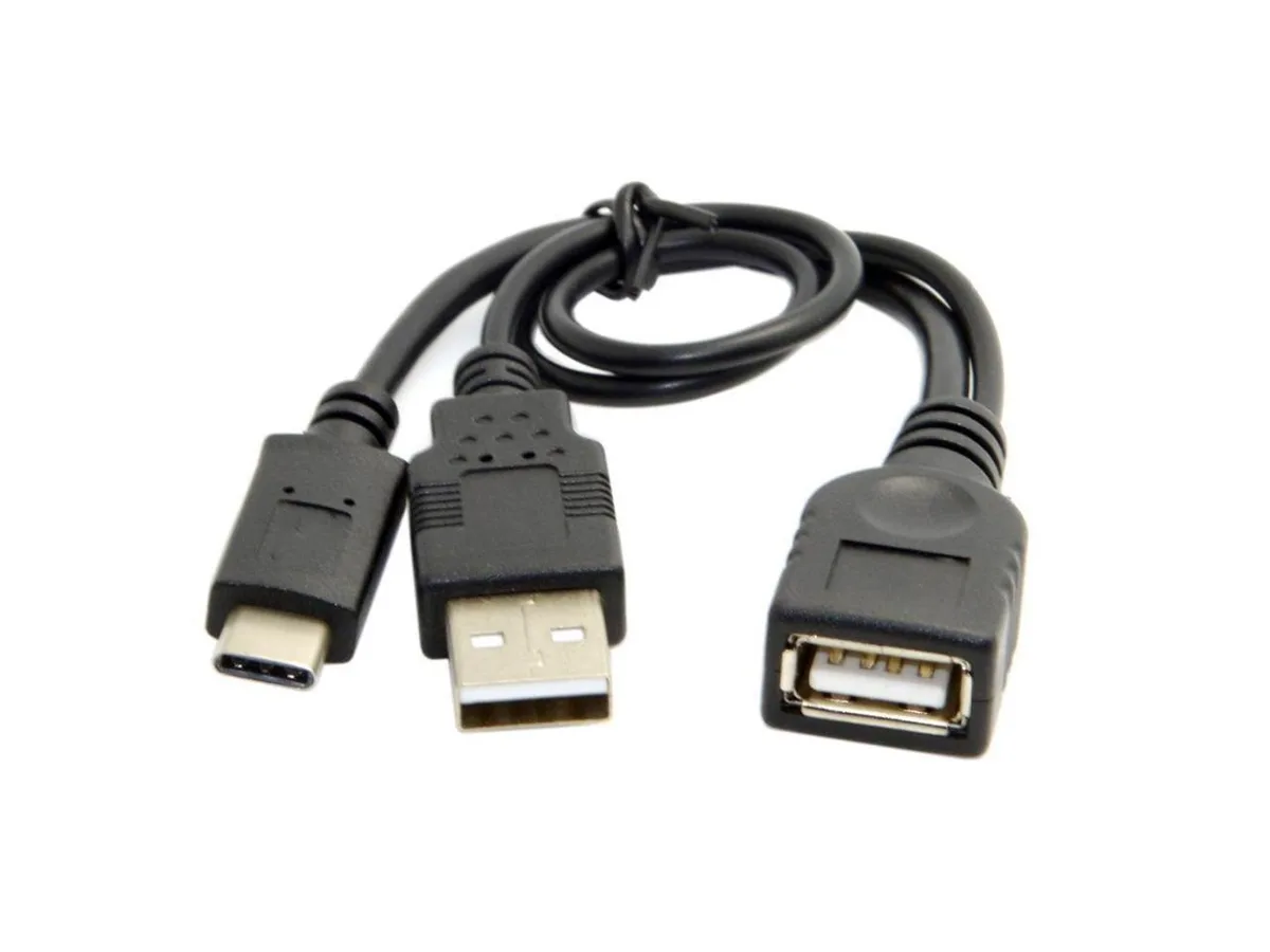 Short white USB-C cable with a USB-A female port and separate power lead