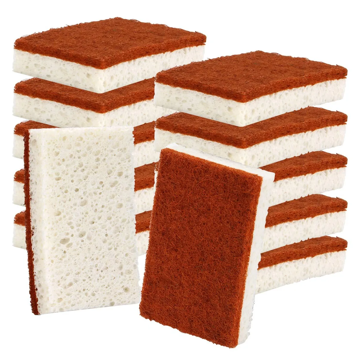 Pack of twelve white palm-fibre scrub sponges in a cardboard box