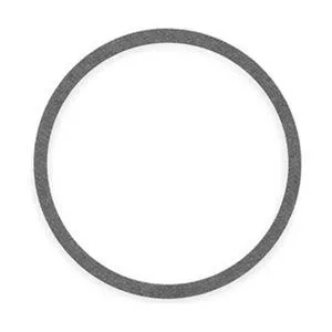 BELL AND GOSSETT BELL AND GOSSETT P04080 Gasket for 4RD16 Buna 225F 125 PSI — product photo