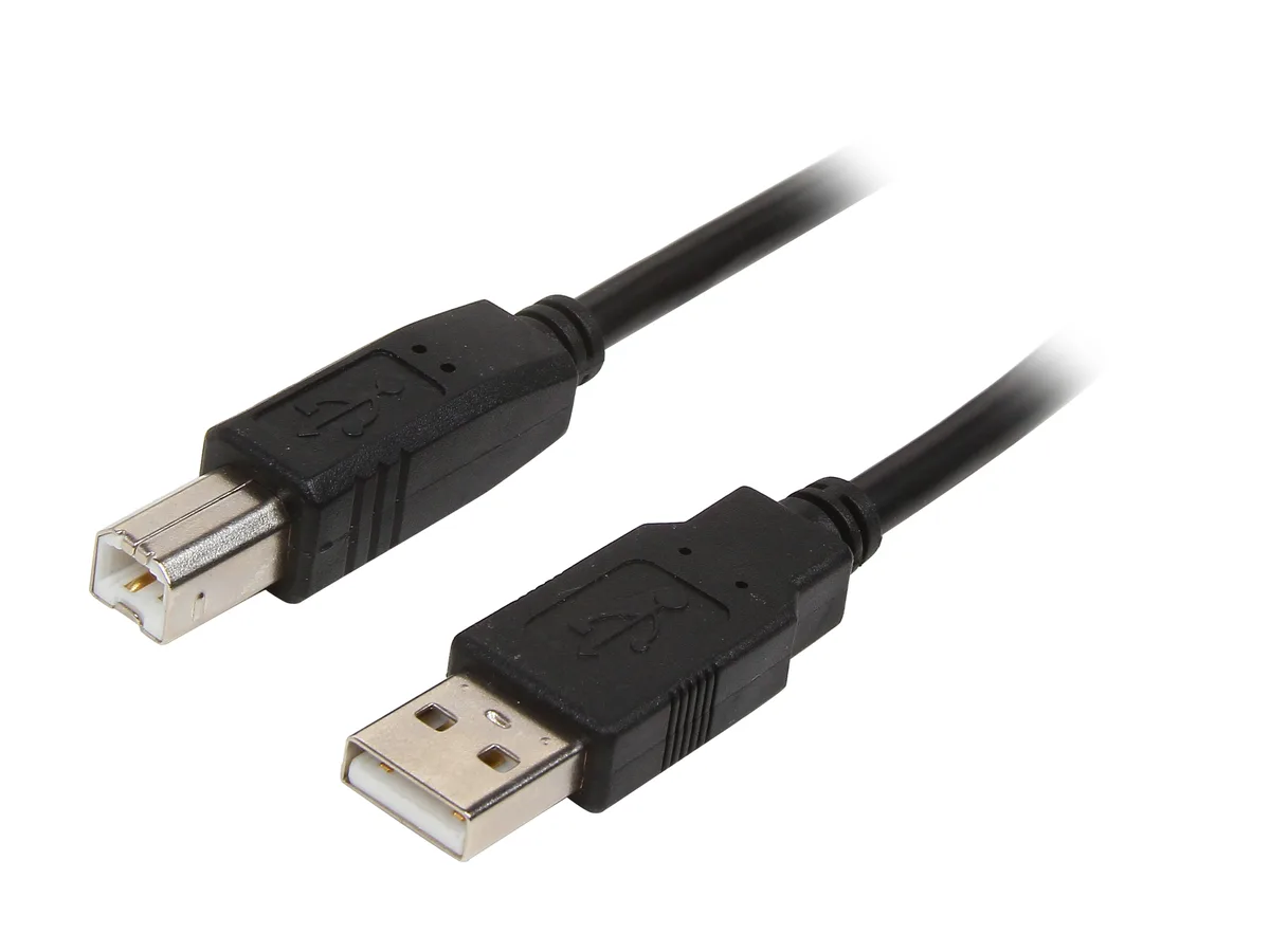 STARTECH STARTECH USB2HAB6 6 ft USB 2.0 Certified A to B Cable usb cable — product photo