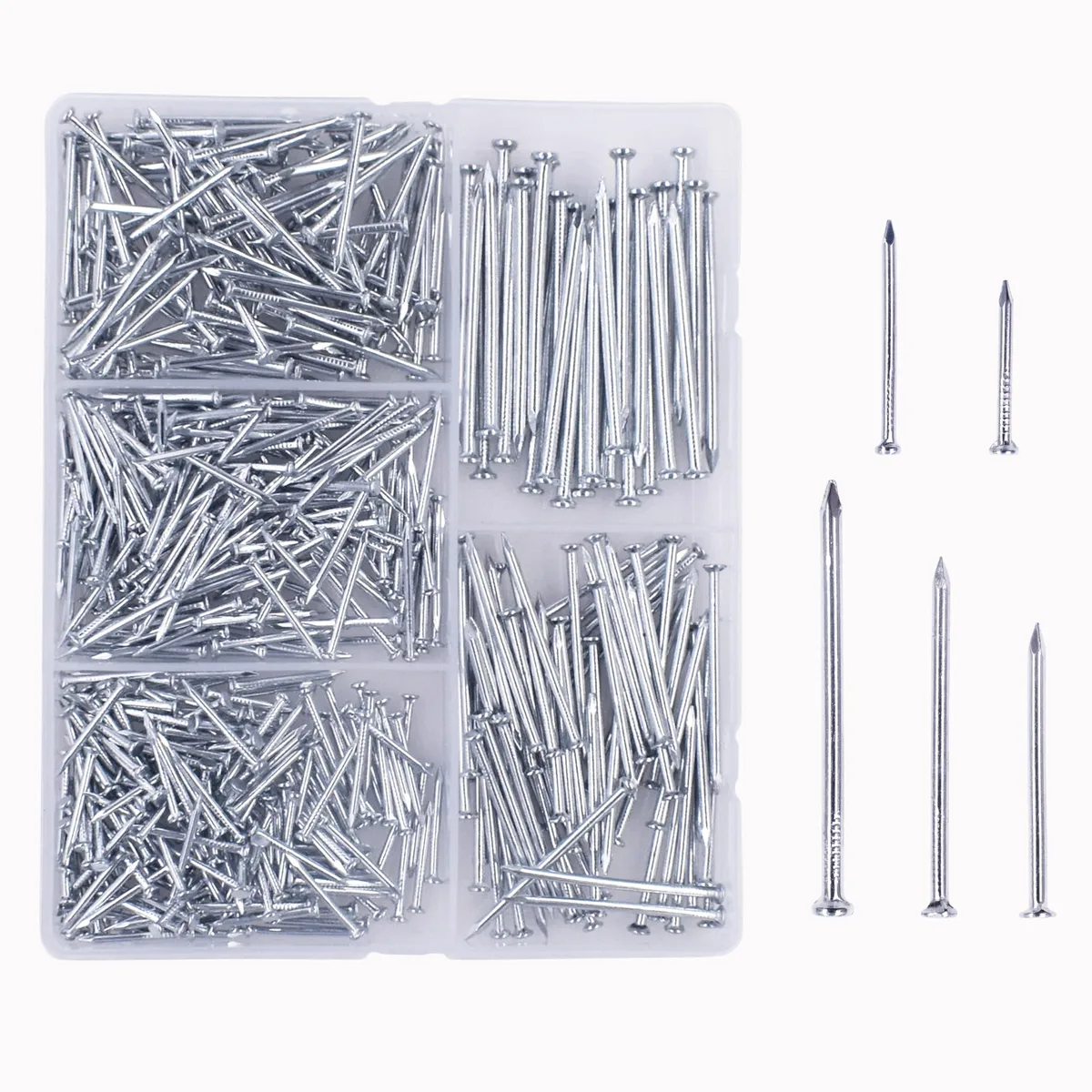 Transparent compartmented box holding 510 galvanized steel nails in five lengths from 20 to 50 mm