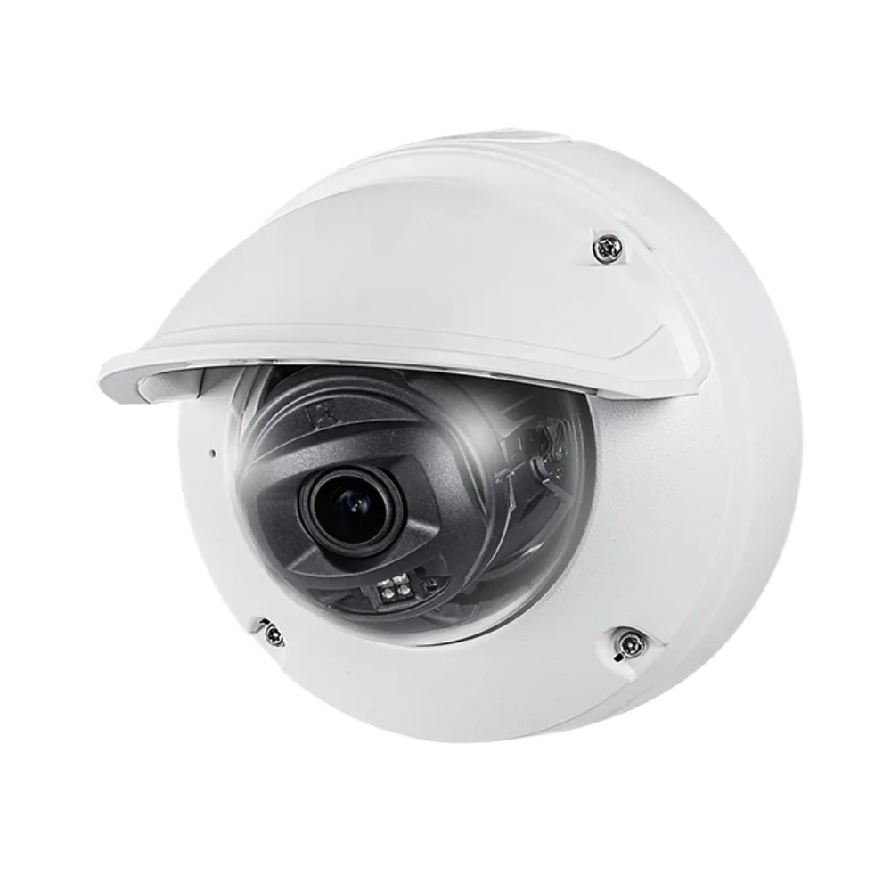 White outdoor dome network camera with motorised vari-focal lens and IR LEDs