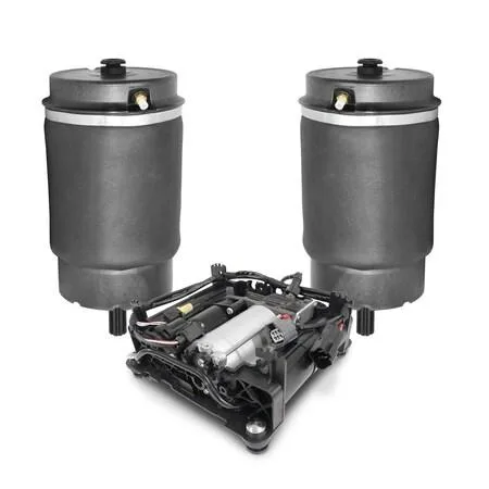 Unity rear air spring kit with two bags and compressor assembly