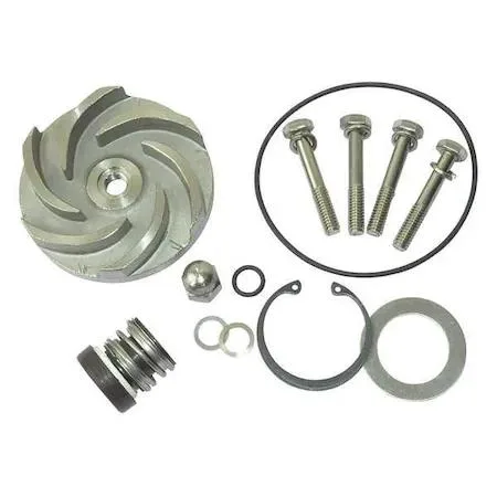 Dayton Dayton 21TG93 Repair Kit for Pump 2ZWZ3 — product photo