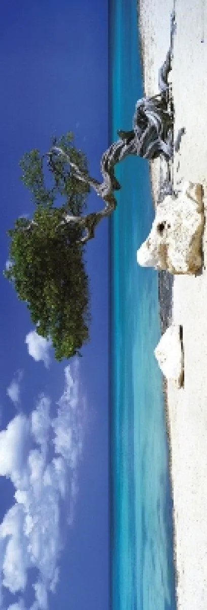 Posterazzi SCODP353 Divi Divi Tree poster print 21 by 62 inches