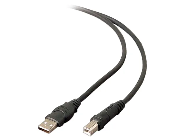 Belkin Belkin F3U133B16 DUP 16 ft USB A to B cable — product photo