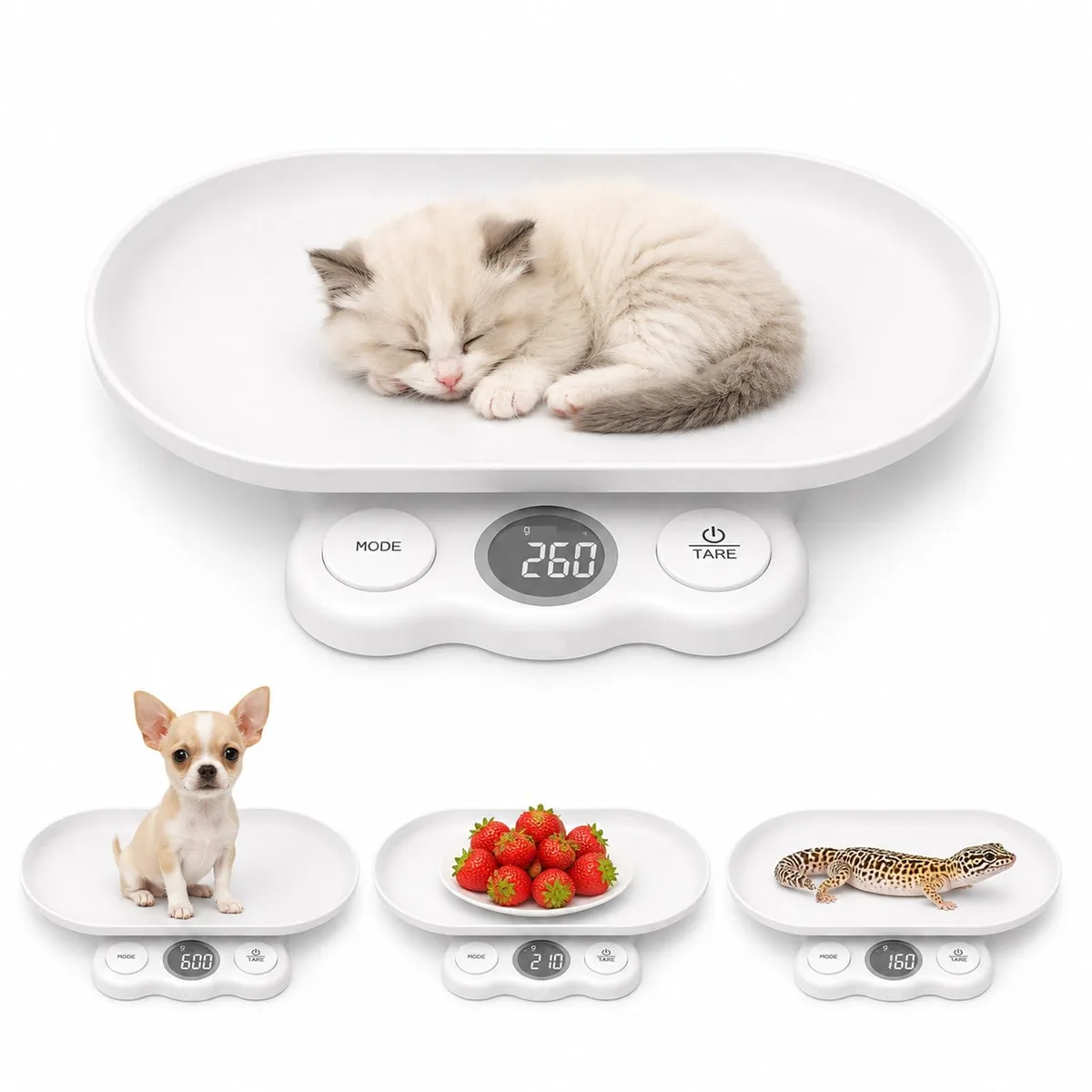 White oval mini scale with large LCD display, anti-slip rubber feet, 11.81 by 7.99 inches, 33 lb capacity