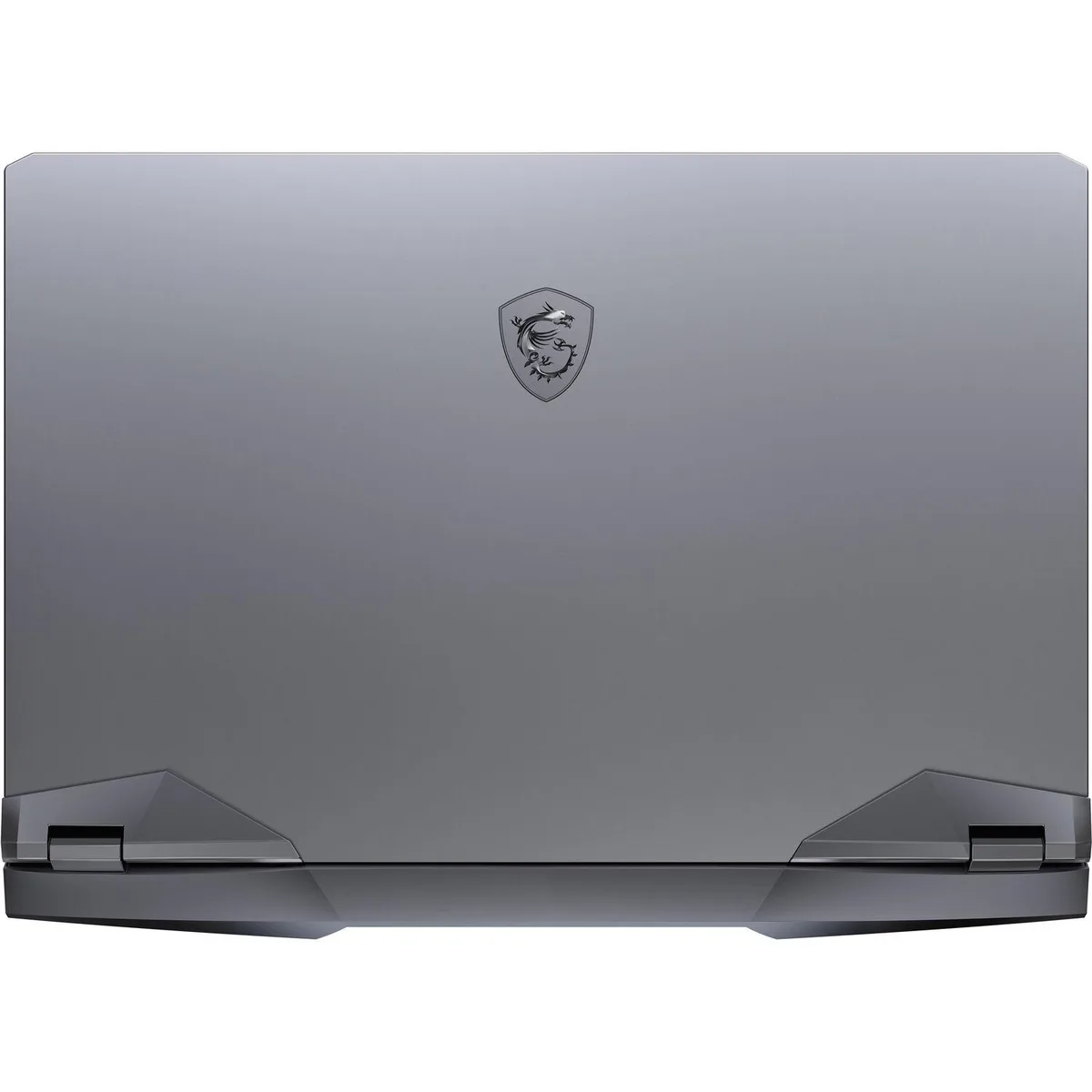 MSI MSI GE76 Raider 10UG-238 gaming laptop 17.3" 240Hz i7-10750H RTX 3070 32GB 2TB — product photo