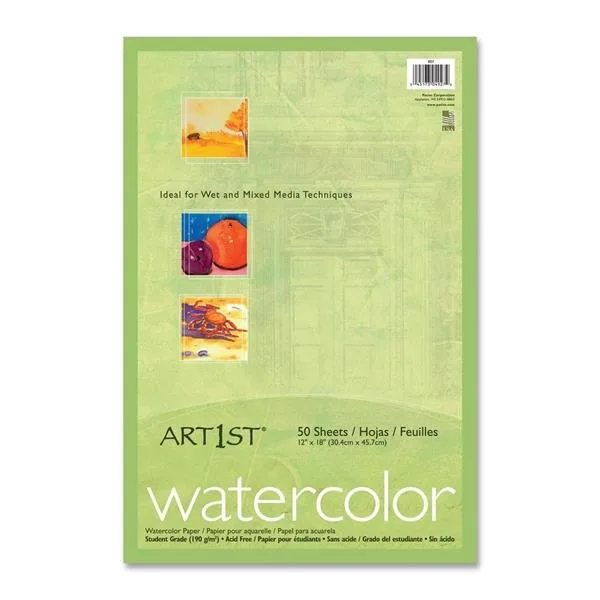 Pacon Pacon 4927 Fine Art Paper 12" x 18" 90 lb Vellum 50 Pack White — product photo