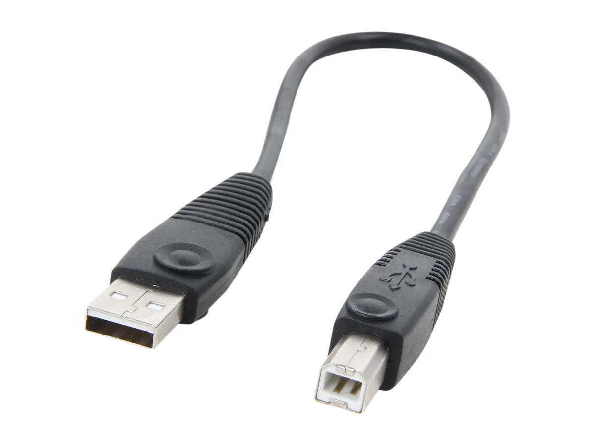 STARTECH STARTECH USB2HAB1 USB 2.0 A to B cable 1 ft 480 Mbps — product photo