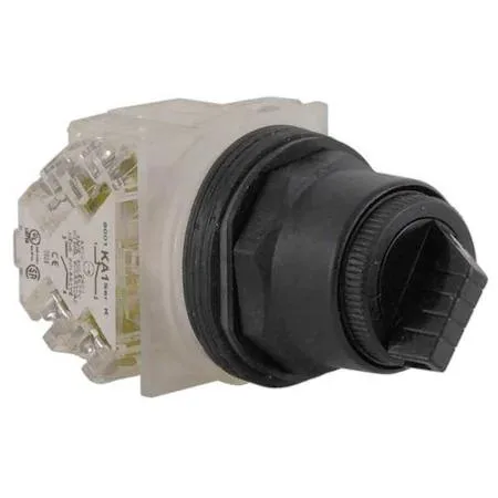 Schneider Electric 30 mm selector switch with black lever operator, chrome bezel, two maintained positions