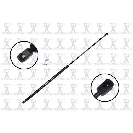 FCS Struts 84982 transparent lift support hatch