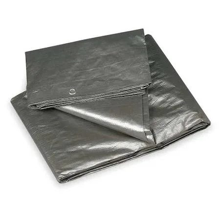 Value Brand Value Brand Heavy Duty Tarp 19 ft x 29 ft 4 in 10.5 Mil Silver — product photo