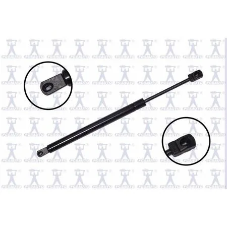 FCS Struts 84155 transparent lift support hood