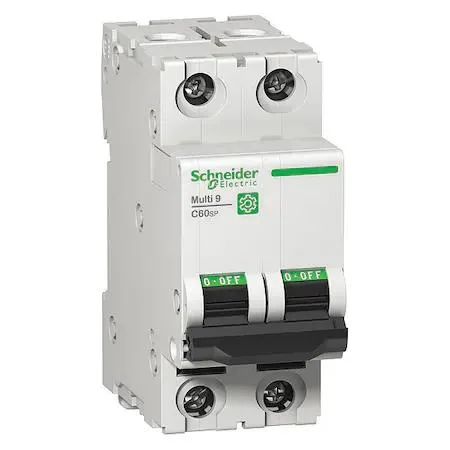 Schneider Electric Schneider Electric M9F22201 C60SP 1 A 2-pole load center — product photo