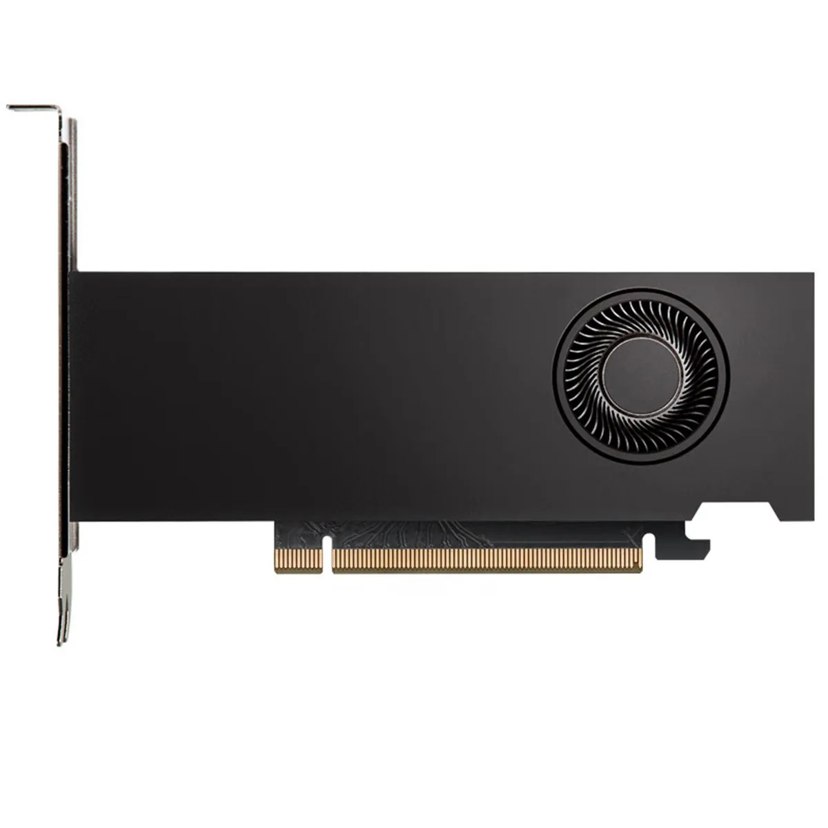 NVIDIA NVIDIA RTX 2000 Ada 16GB graphics card — product photo