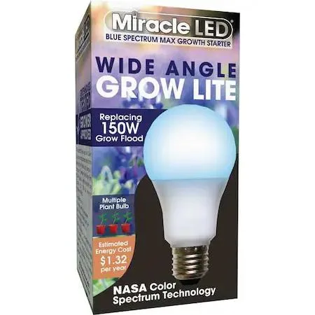 Frosted A21 LED bulb with transparent base