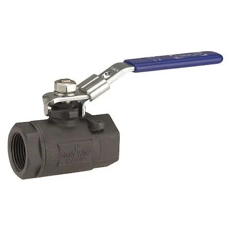 Chemtrol Chemtrol NL94T5D Ball Valve 2" FNPT Locking Lever — product photo