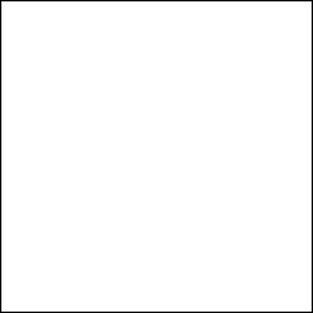 Rosco Rosco Roscolux 1/2 Tough White Diffusion 20x24" Sheet — product photo