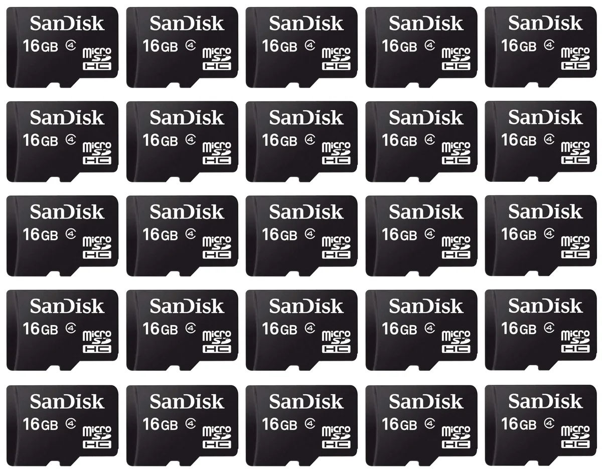 SanDisk SanDisk 25 x 16GB microSDHC Class 4 SDSDQM-016G with Cases — product photo