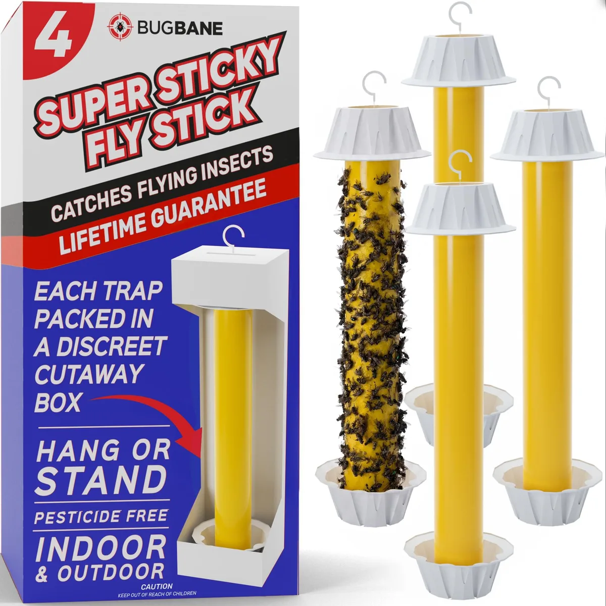 Four yellow sticky fly trap strips in open boxes, each with hanging hook and bait dish