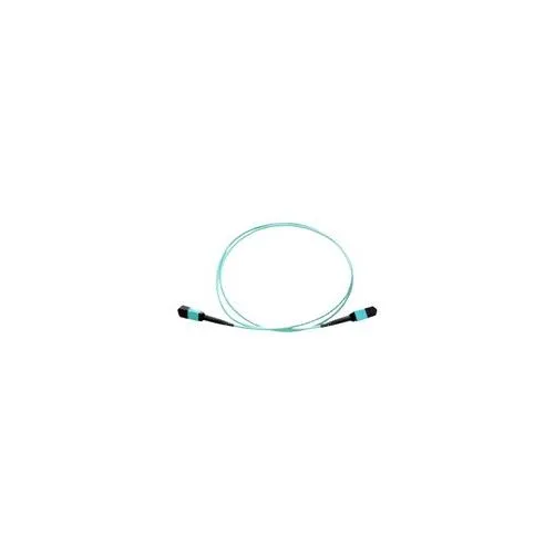 Axiom Axiom MPO Female to MPO Female OM4 50/125 Fibre Optic Cable 15m — product photo
