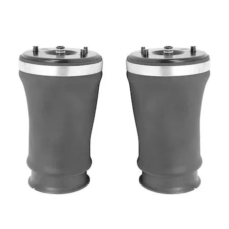 Two rear air spring bags in a Unity kit for BMW wagons