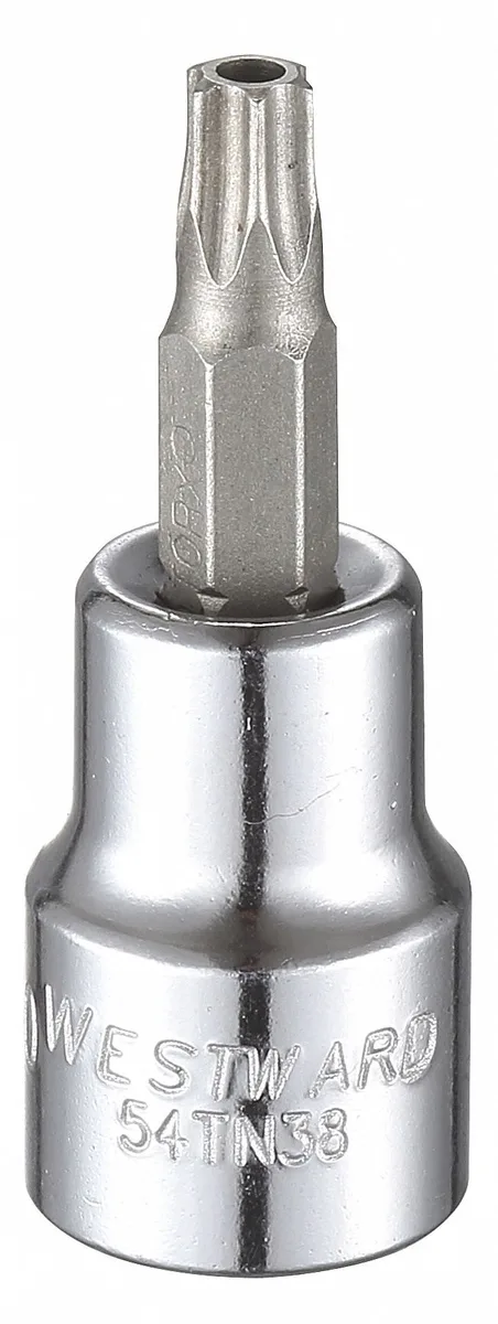 Westward 3/8 inch drive T30 tamper resistant Torx socket bit, silver steel finish