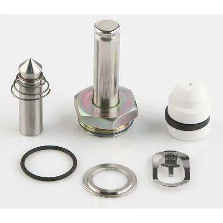 ASCO Power Technologies ASCO Power Technologies 304669 Valve Rebuild Kit — product photo