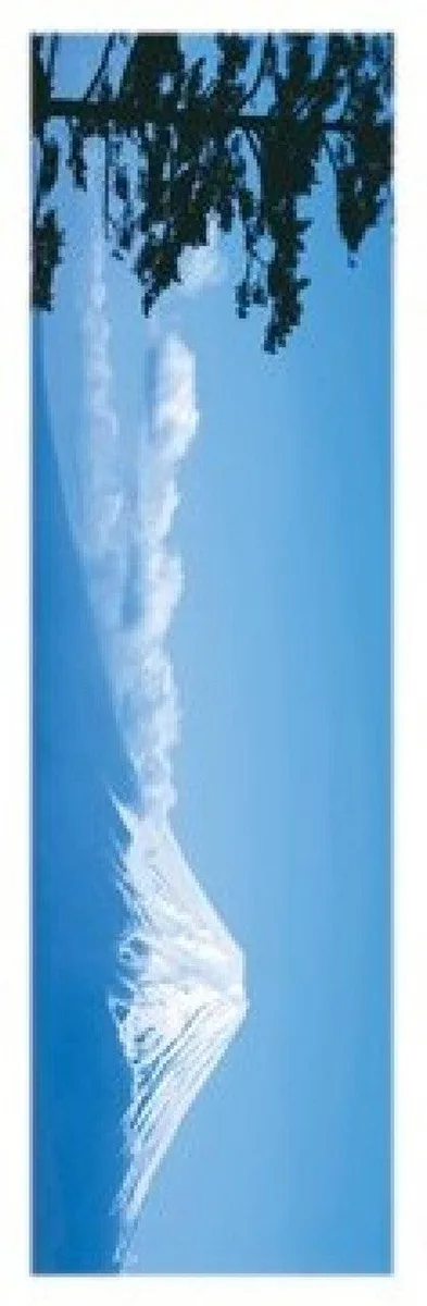 Poster print of Mount Fuji, 12 by 36 inches, rolled in tube