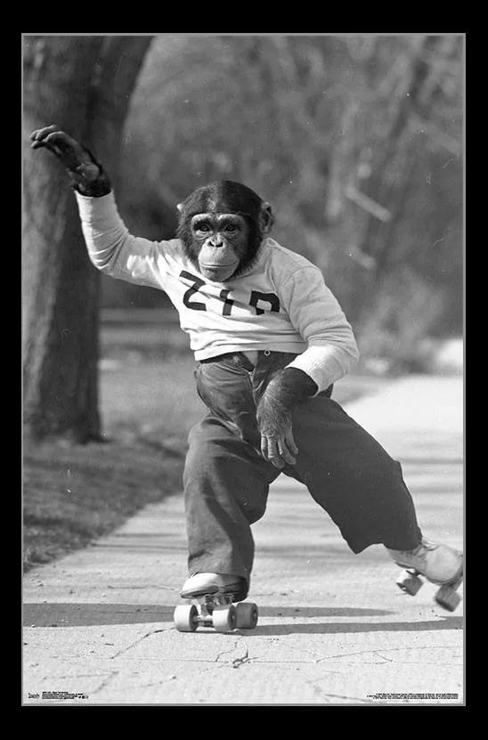 Poster print of Zippy the Monkey, 22 by 34 inches, rolled in tube