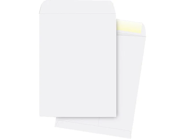 Business Source Business Source 42102 Catalog Envelope 9x12 28lb 250/Box — product photo