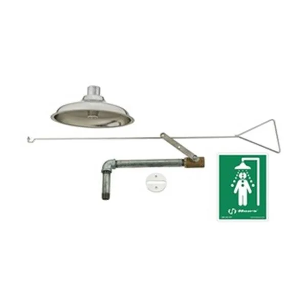 Haws 8169 ceiling-mounted emergency shower, silver galvanised steel with stainless spray head