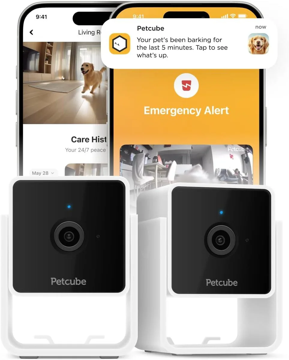 Two small white indoor cameras with rounded fronts