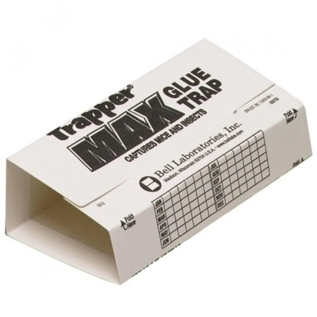 Box of 72 white paper glue boards for mice and insects
